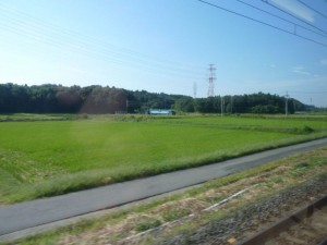 photo94701