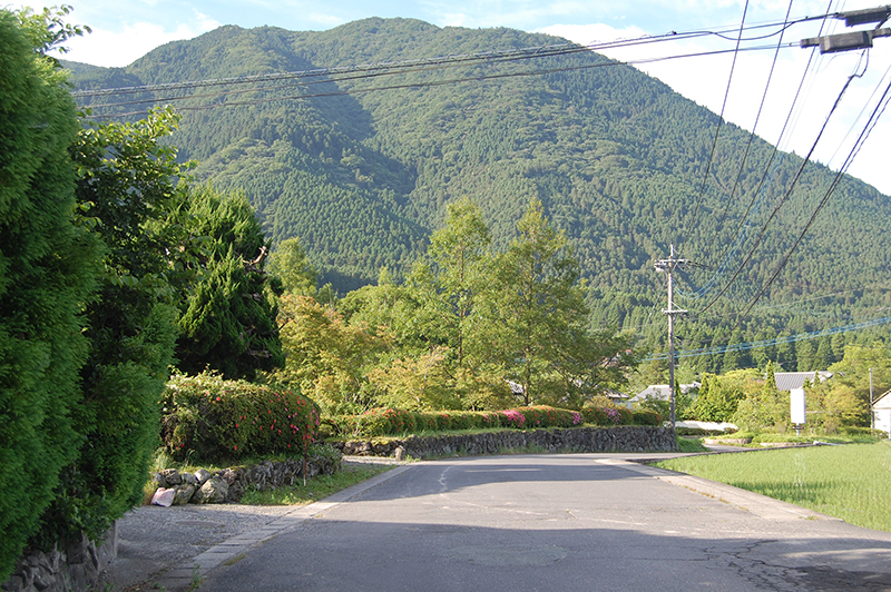 8.湯布院 DSC_0541s