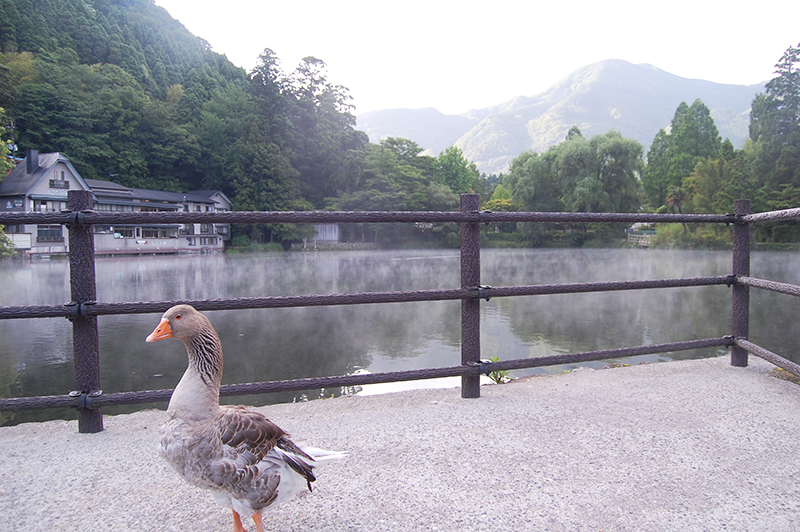 ルート4大分_20160714 DSC_0518