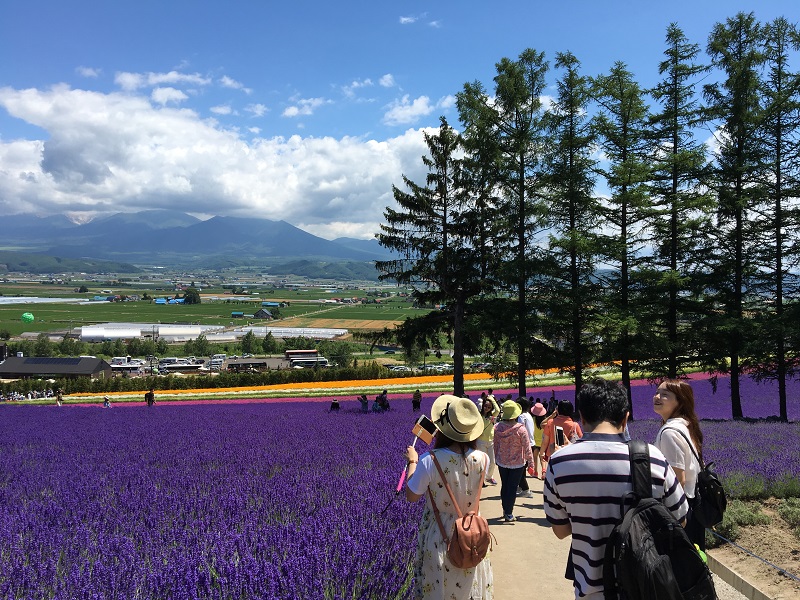 02富良野 0720 181