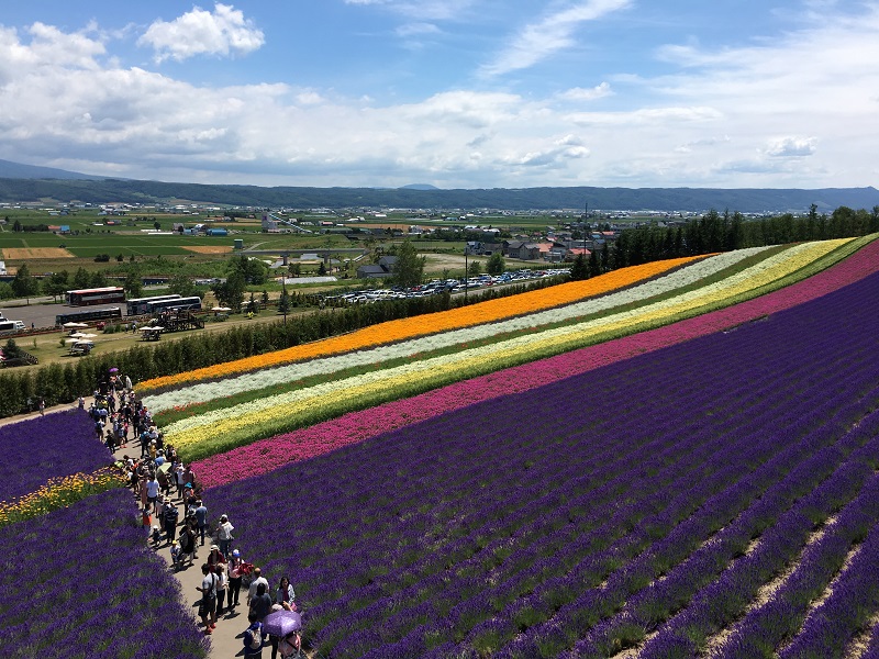 furano_富田ファーム