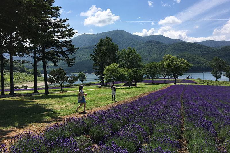 ドライブ北海道2_24