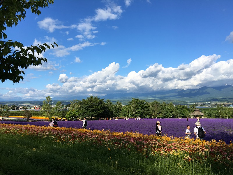 02富良野 0720 077