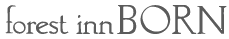 Forest Inn Born